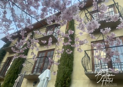 Is that a cherry blossom at Browns Boutique Hotel Queenstown?